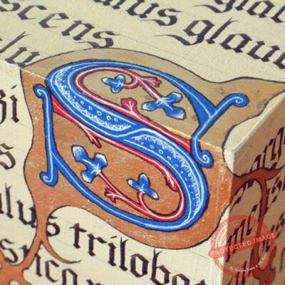 Ana-Vidmar-avatar-2022